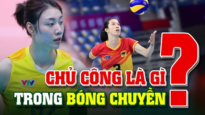 Chủ công đảm nhiệm nhiều nhiệm vụ từ ghi điểm, chắn bóng đến hỗ trợ xử lý bóng khó.